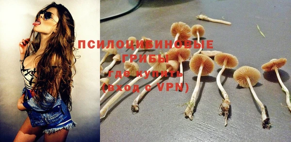Альфа ПВП Усмань