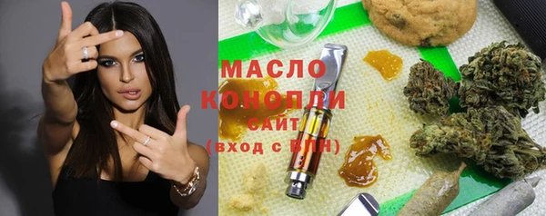 дурь Туринск