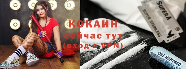 дурь Туринск