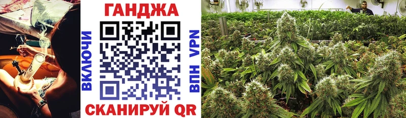 Купить Ленинск-Кузнецкий Бошки Шишки ГИДРОПОН